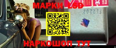 стафф Гатчина