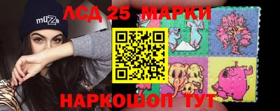 стафф Гатчина
