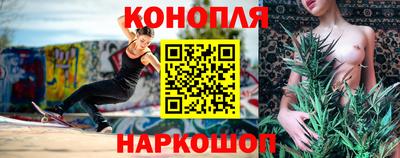 стафф Гатчина