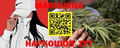 стафф Гатчина