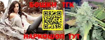 стафф Гатчина
