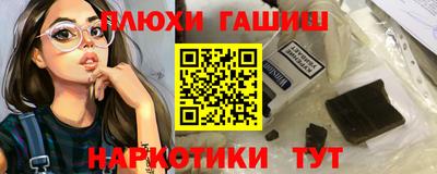 стафф Гатчина