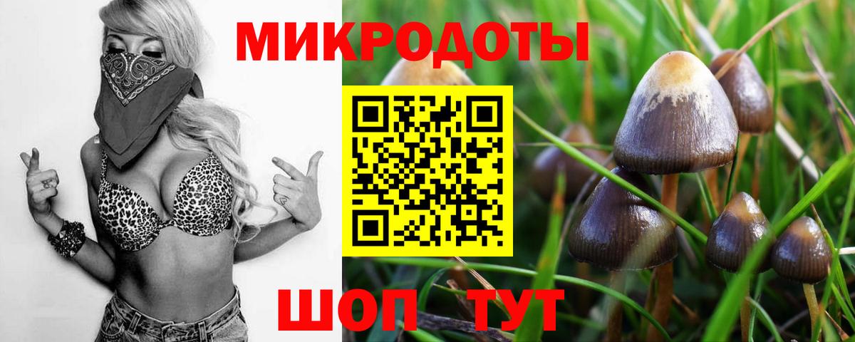 Галлюциногенные грибы Magic Shrooms Сергиев Посад